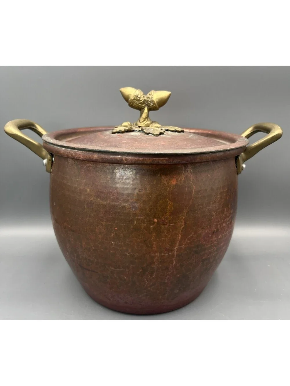 Ruffoni 4.75 Qt Hammered Copper Stockpot Italy Brass Acorn Lid Handles